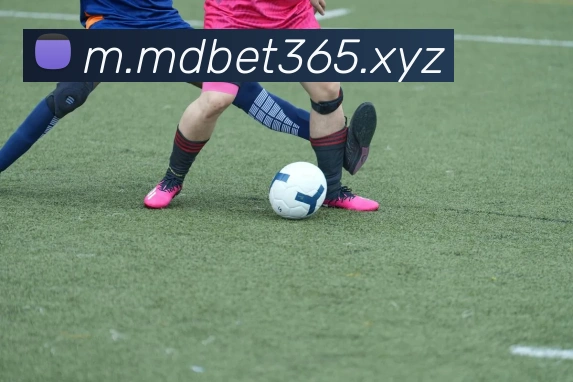 bet365官网服务体系